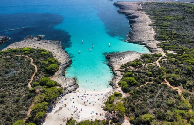 Photo 2 by Vinicius S. (9/28/22)