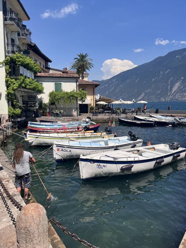 Photo by Oskar S. (7/11/25)