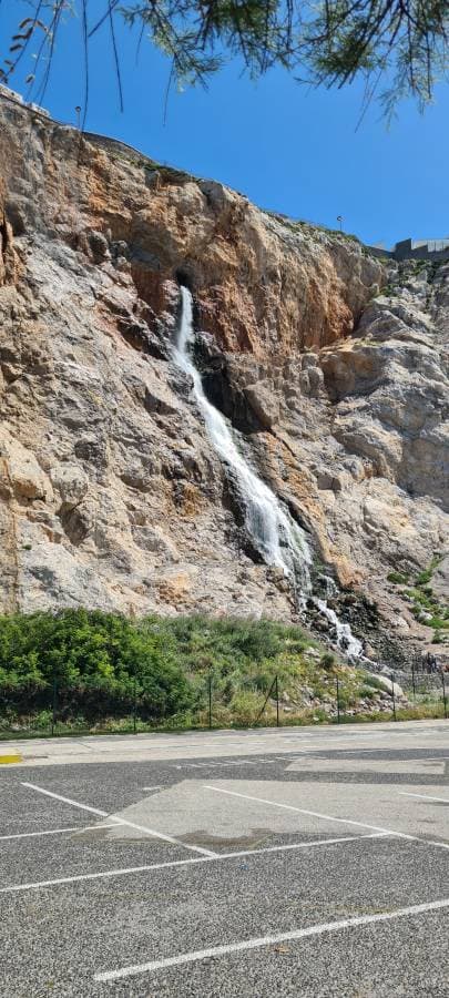 Photo 5 by Zouheir T. (4/21/25)