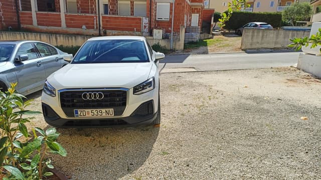 Photo by Gregory G. (4/26/24)