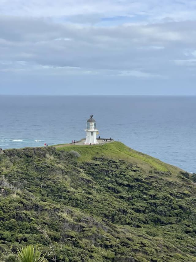 Photo 3 by Malcolm S. (11/3/25)