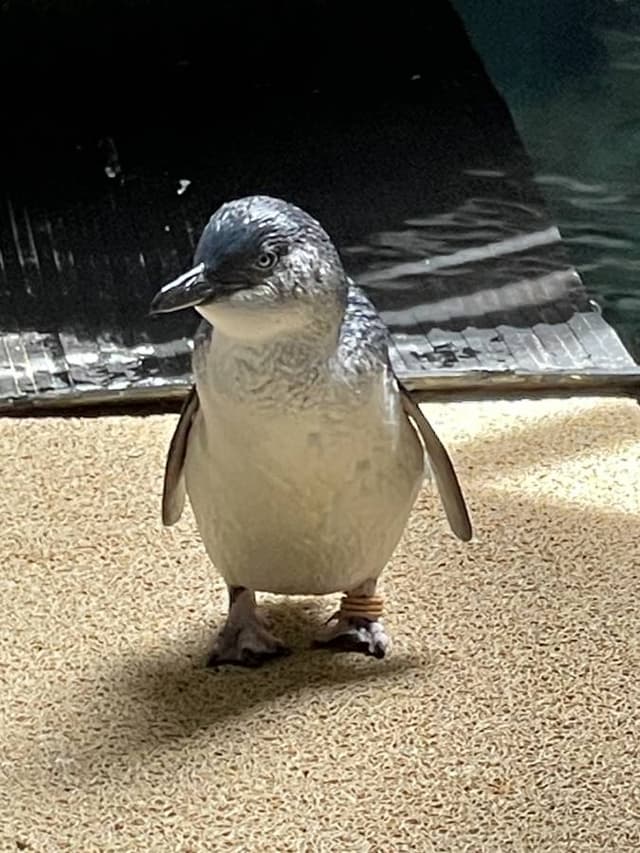 Photo 3 by Peminda J. (12/2/23)