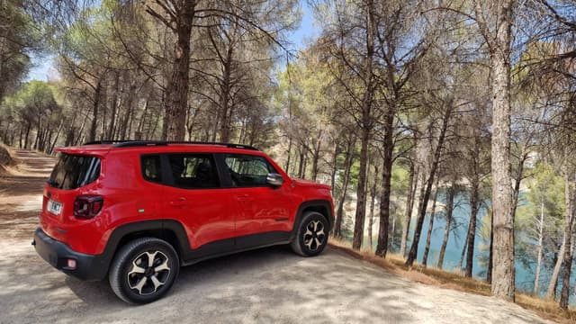 Photo 2 by Marius B. (9/21/24)