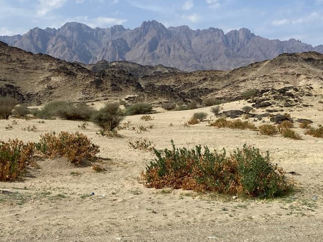 Photo 1 by Anthony P. (11/26/23)