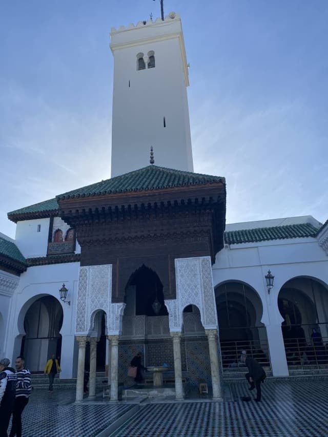 Photo 2 by Smail B. (3/4/24)