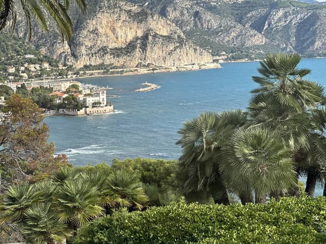 Photo 3 by SHULAMIT R. (10/27/23)