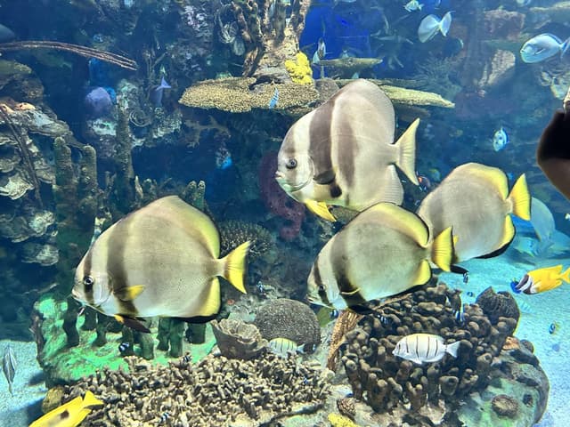 Photo 4 by Danielle O. (7/26/23)