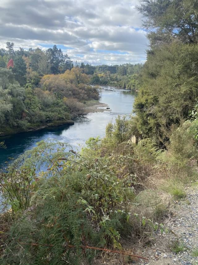 Photo 2 by Lindsey E. (5/16/25)