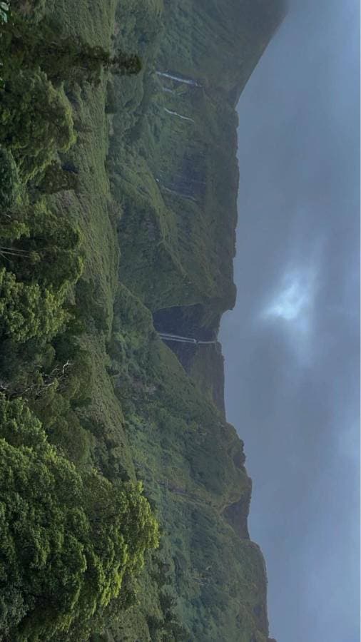 Photo 2 by gerwin B. (2/3/25)