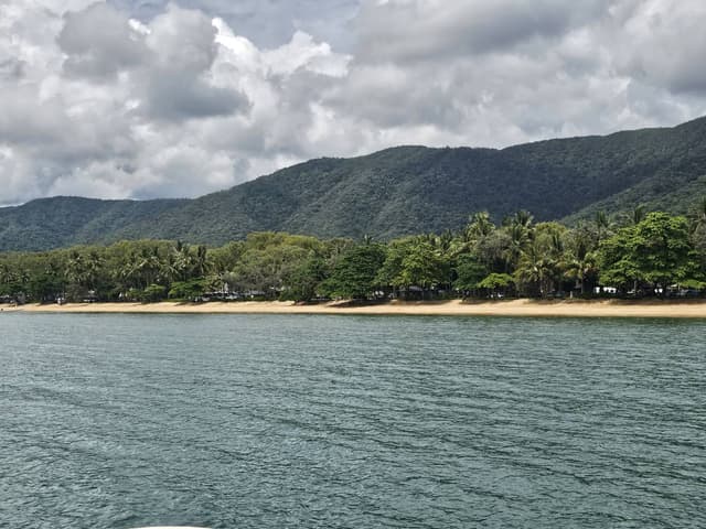 Photo 1 by Rodney W. (1/29/25)