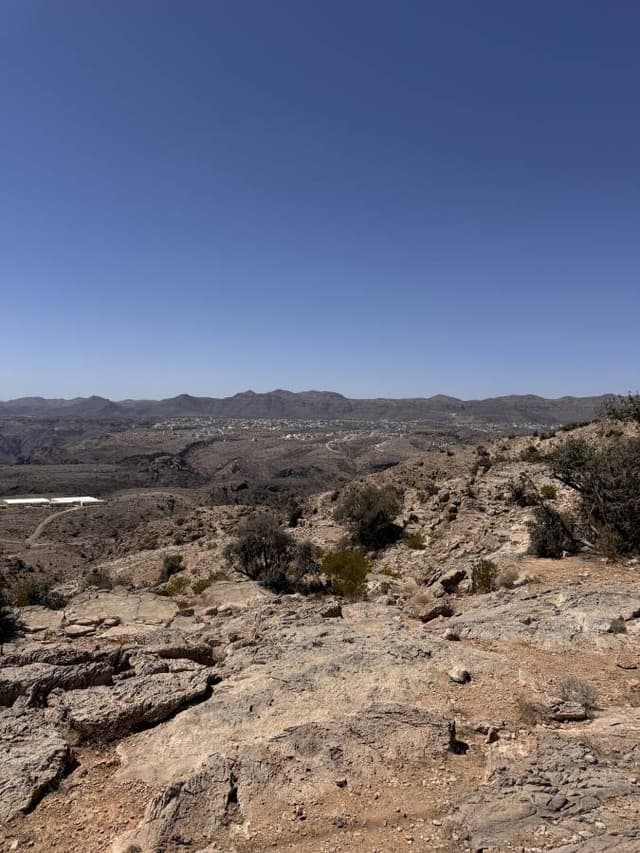 Photo 9 by Silvia R. (4/7/25)