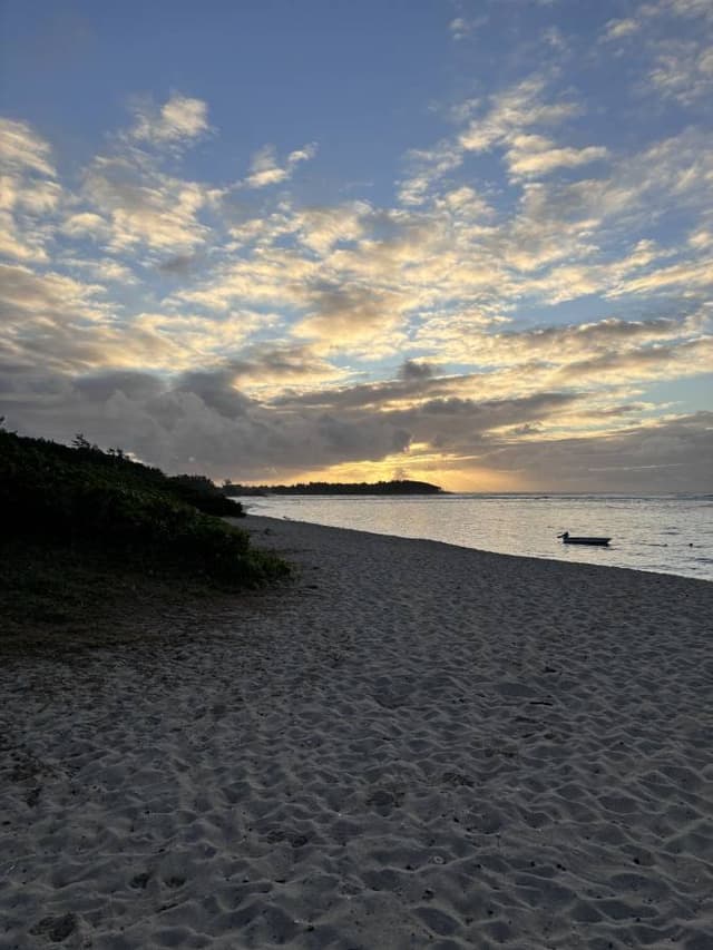 Photo 4 by Christopher K. (8/17/24)