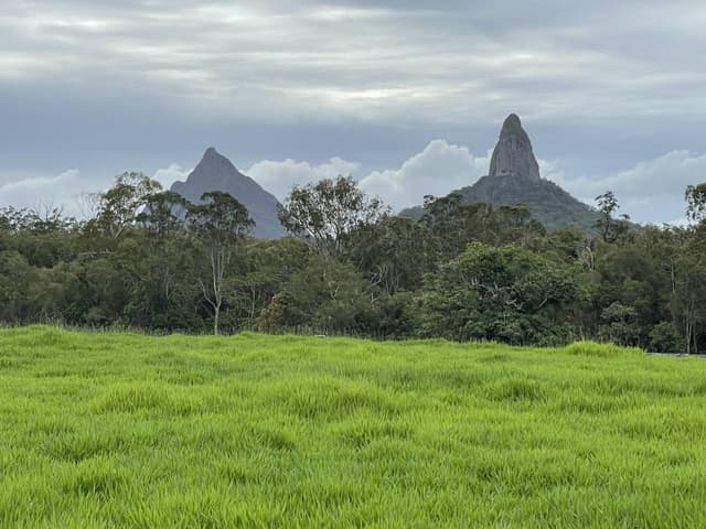 Photo 4 by Peminda J. (12/2/23)