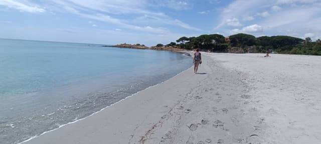 Photo 3 by Giorgio L. (5/27/25)