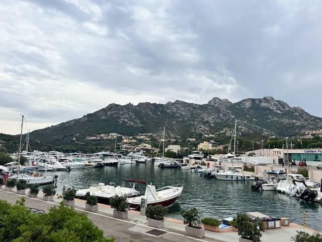 Photo 2 by Erica V. (9/20/23)