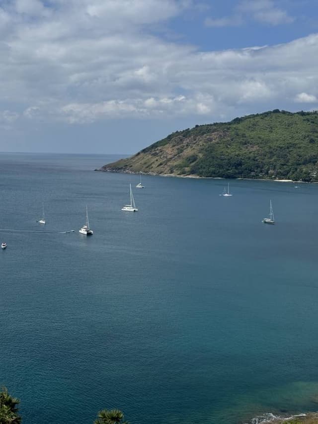 Photo 1 by PINHAS A. (12/10/24)