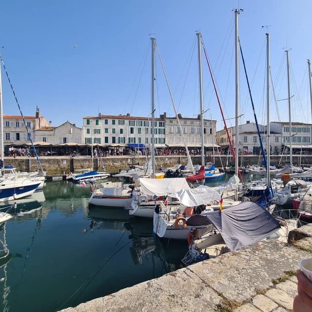 Photo 4 by James R. (7/31/24)