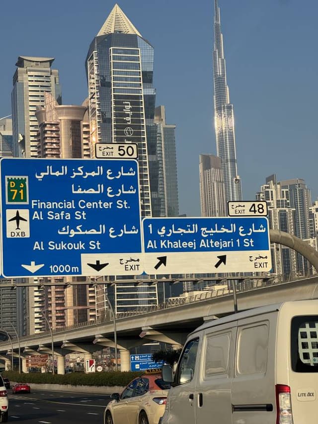 Photo 2 by Egor I. (11/8/24)