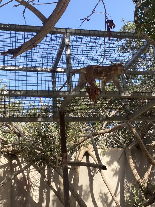 Photo by Stefan Bogi A. (8/21/24)