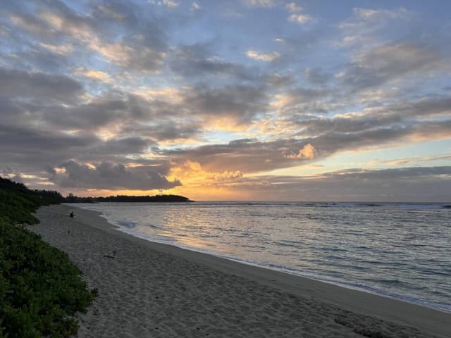 Photo 5 by Christopher K. (8/17/24)