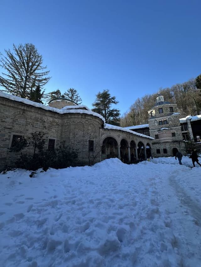 Photo 1 by Ezra V. (1/5/25)