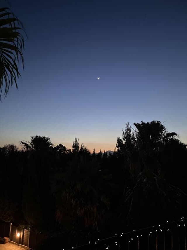 Photo 6 by Shona A. (5/31/25)