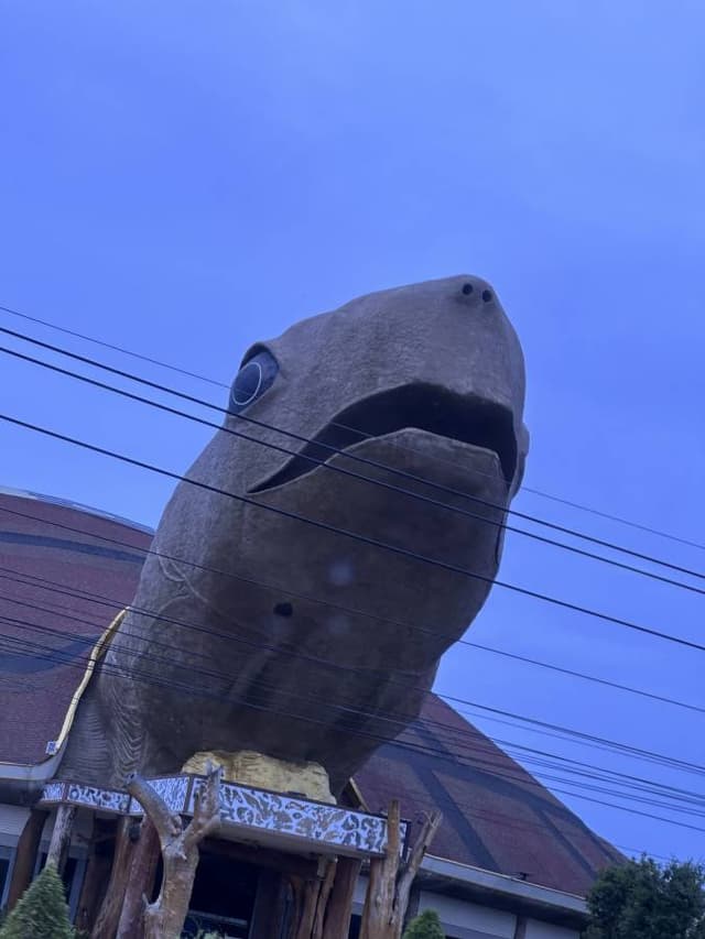 Photo 4 by Stephan W. (8/3/25)