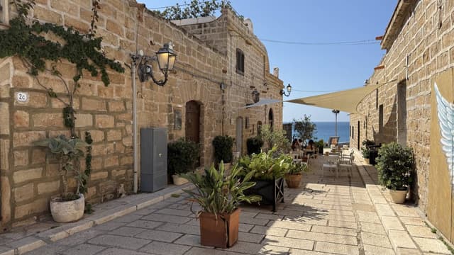 Photo 5 by John K. (7/4/25)