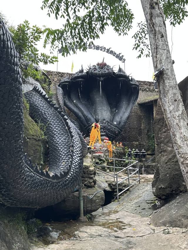 Photo 5 by Stephan W. (8/3/25)