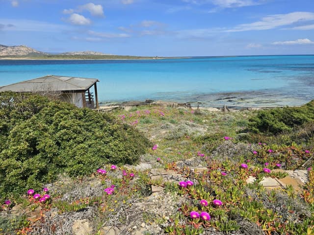 Photo 2 by Marek P. (4/19/25)