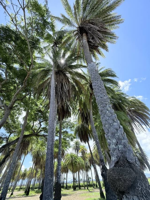 Photo 2 by Rachael P. (2/24/25)