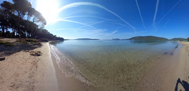 Photo 11 by Rafael S. (12/24/23)