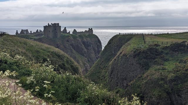 Photo 2 by Barry P. (6/30/24)