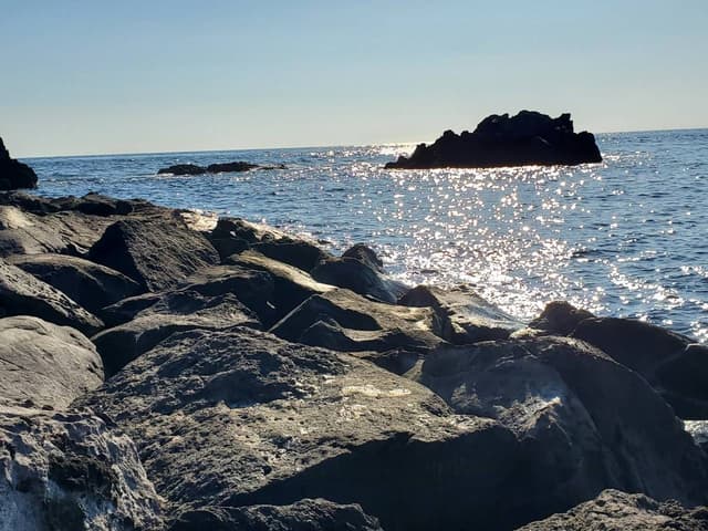 Photo 4 by Tracey B. (7/21/25)