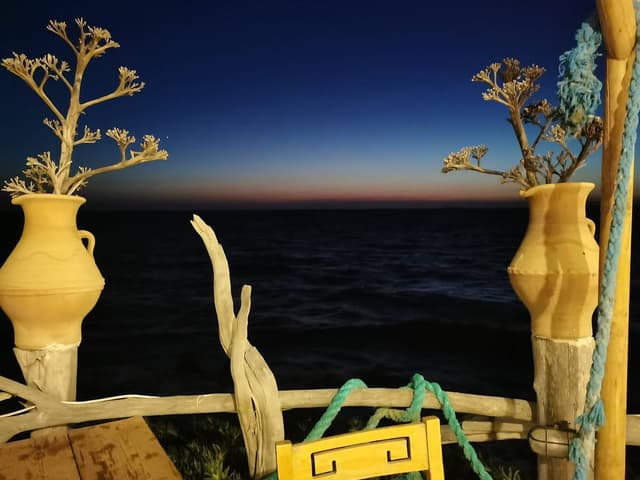 Photo 2 by Bostjan S. (7/31/23)