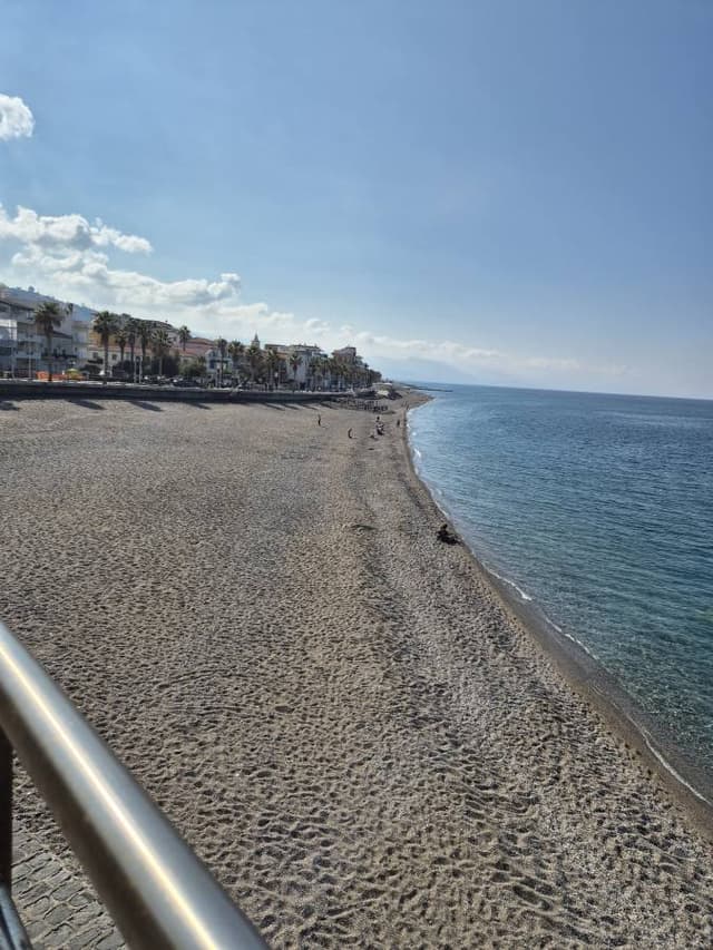 Photo 2 by Marcela H. (11/4/24)