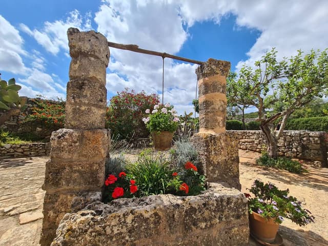 Photo 4 by Peter U. (10/29/24)