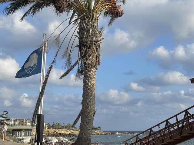 Photo 4 by Alexandra A. (9/2/24)