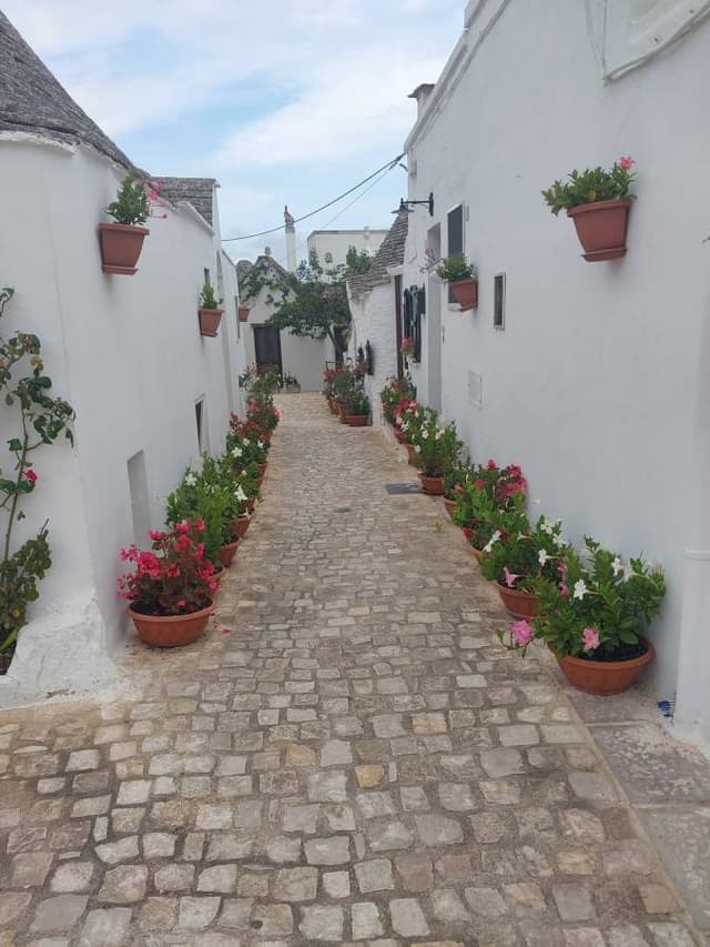 Photo 5 by Peter U. (10/29/24)