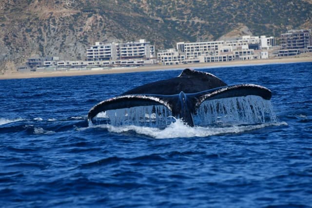 Photo 6 by Tina Dan W. (12/4/25)