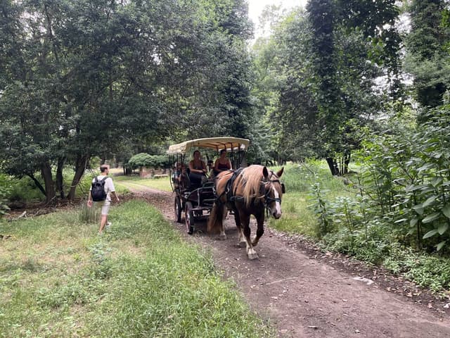 Photo 4 by Mikhail S. (7/2/24)