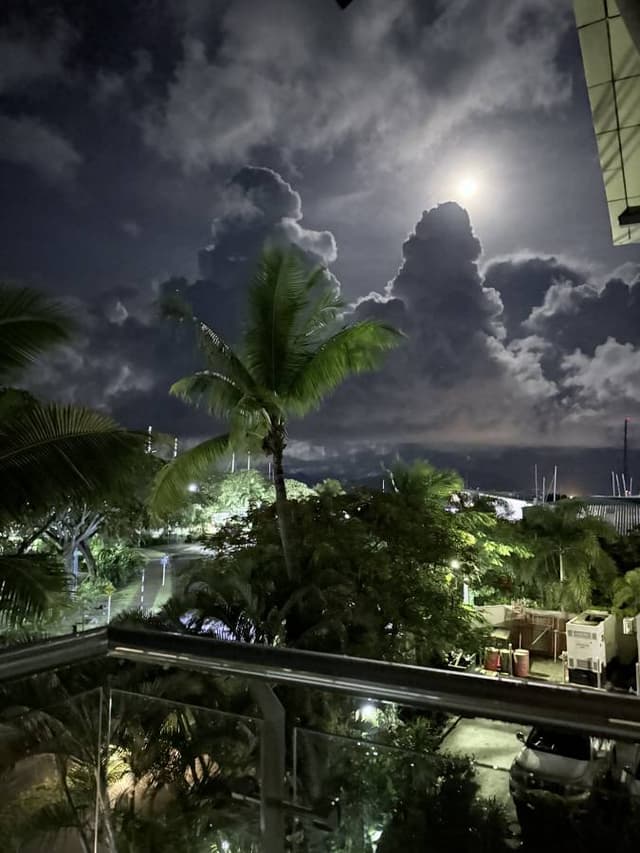 Photo 3 by Rachael P. (2/24/25)