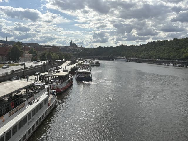 Photo 3 by Adele L. (7/29/25)