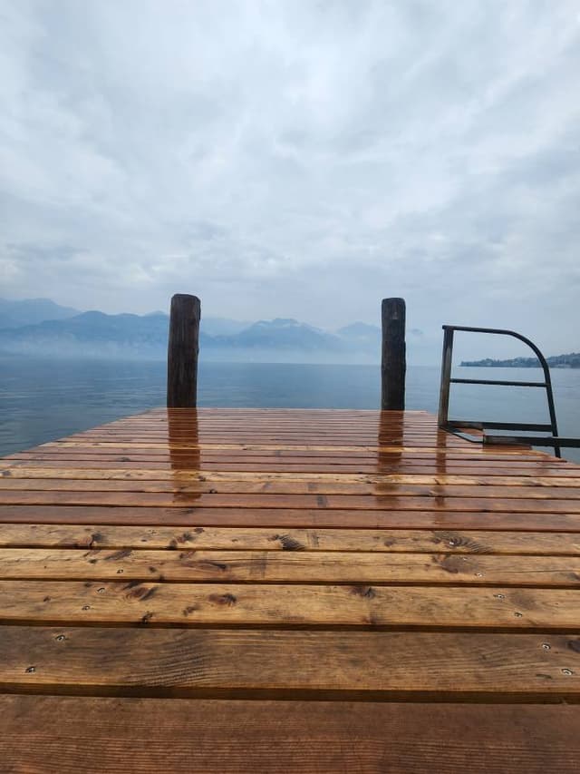 Photo 4 by ALEXANDER A. (4/18/25)