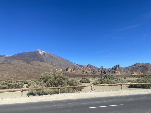 Photo 5 by Roger M. (11/12/24)