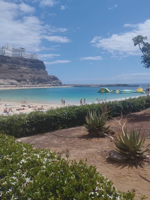 Photo 6 by Paulo S. (3/30/24)