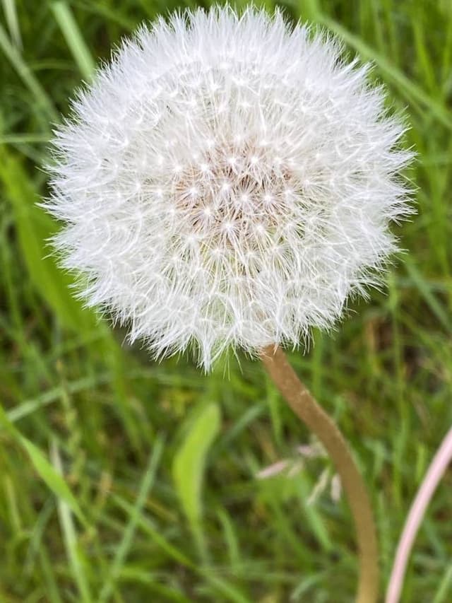 Photo 2 by Richard W. (5/28/23)