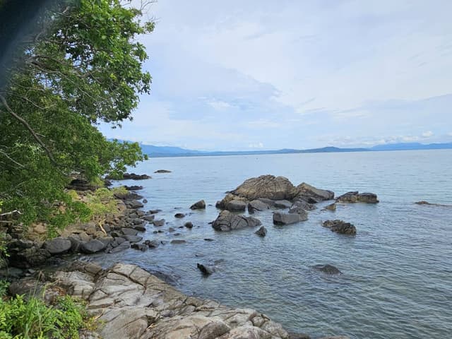 Photo 2 by Rodney W. (1/29/25)