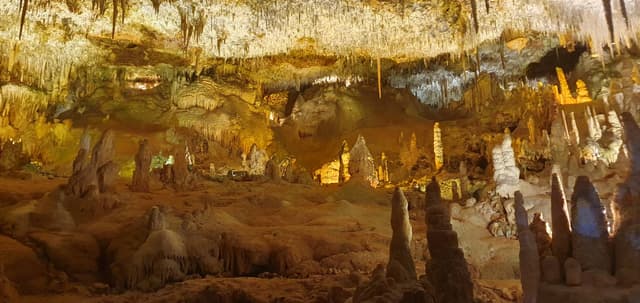 Photo 6 by Doychin D. (4/19/24)