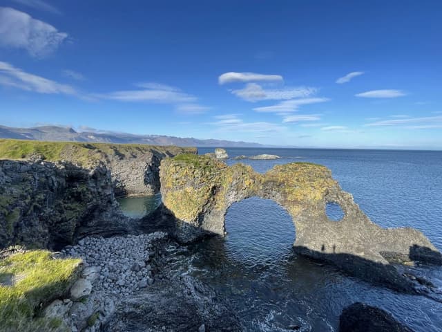 Photo by Bharati S. (7/27/23)